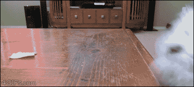 84783147.gif