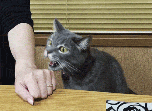 84752651.gif