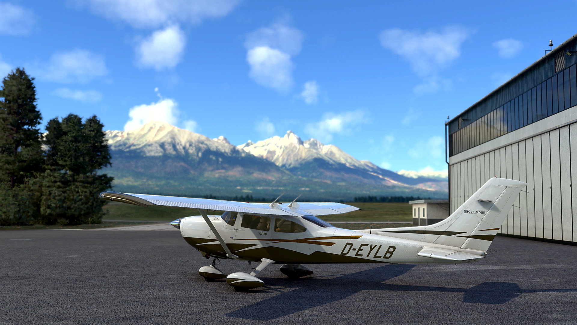 MSFS-1022.jpg