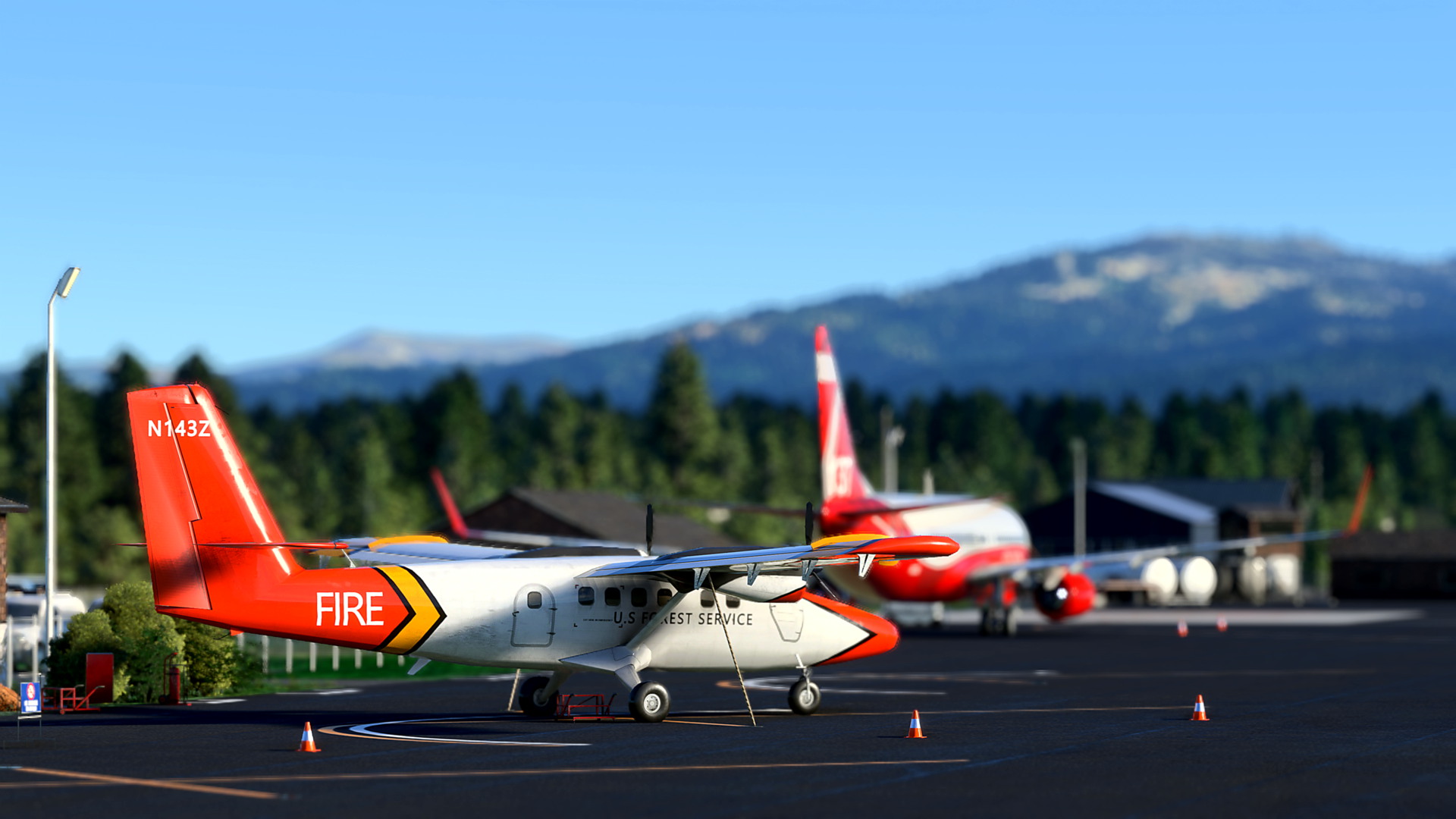MSFS-995.jpg