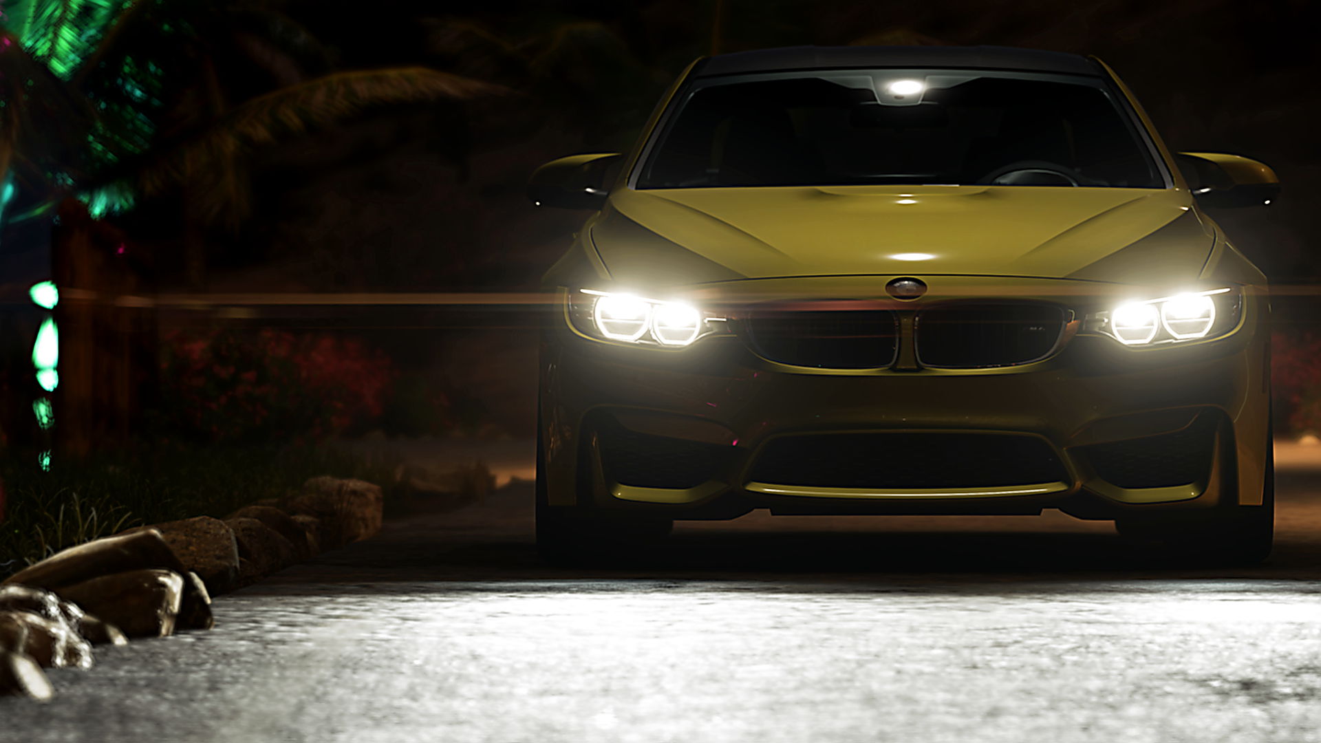fh569CY74C.jpg