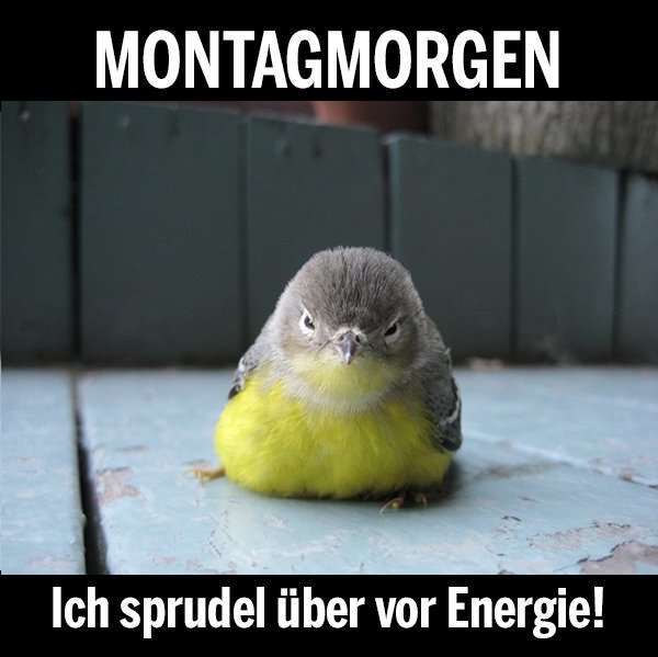 post2.jpg