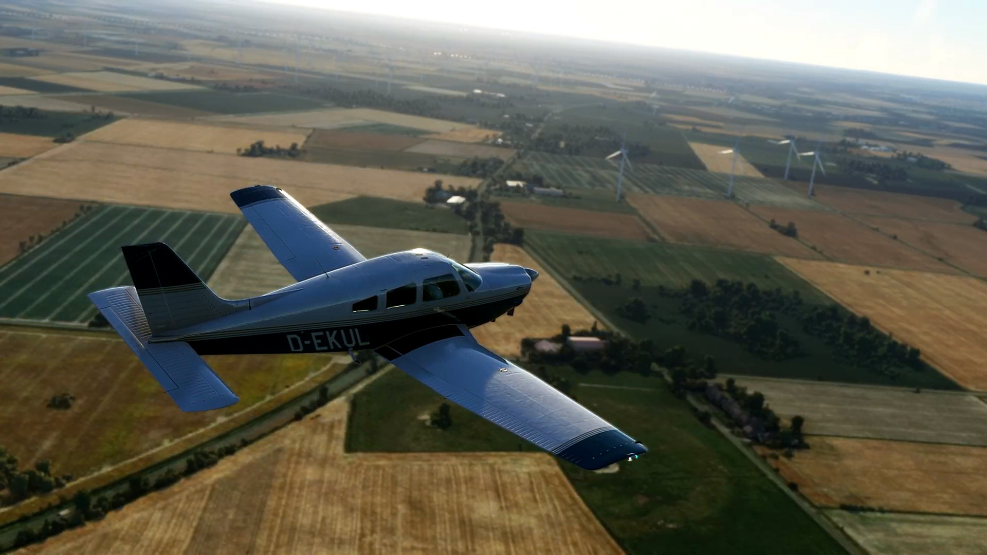 MSFS-119.jpg