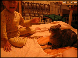 84464735.gif