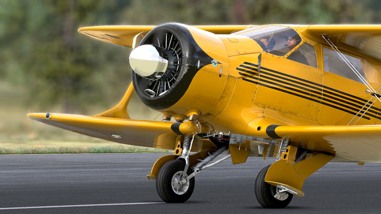 MSFS-197.jpg