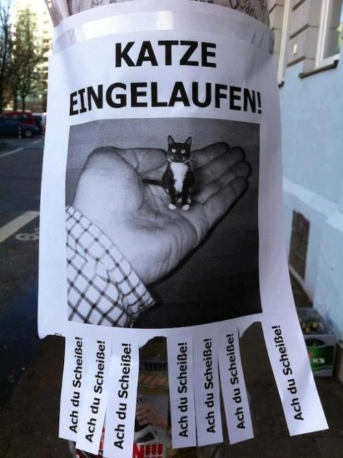 post2.jpg
