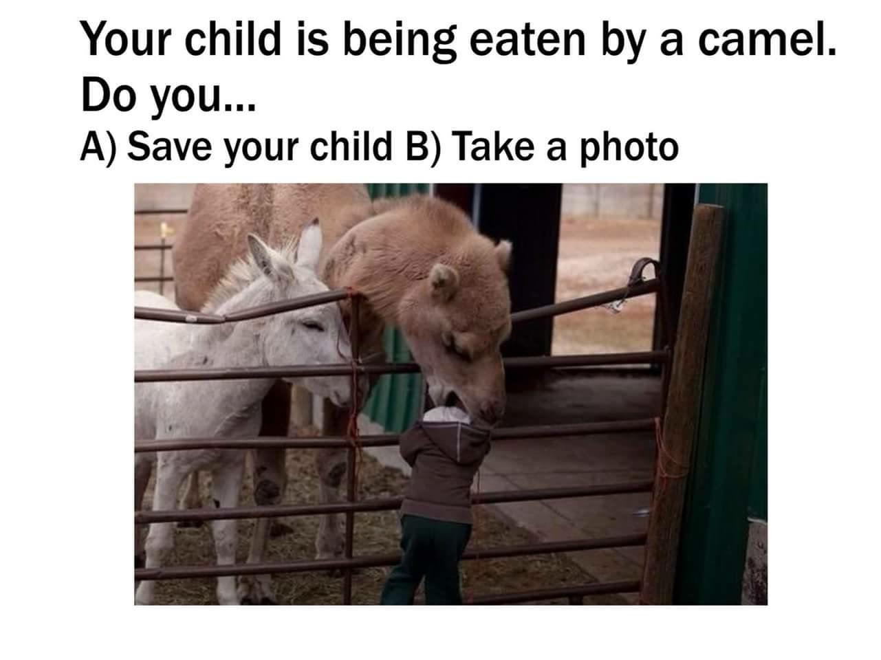 84922399.jpg