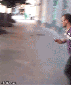 84464725.gif