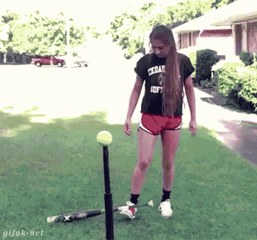 84725441.gif