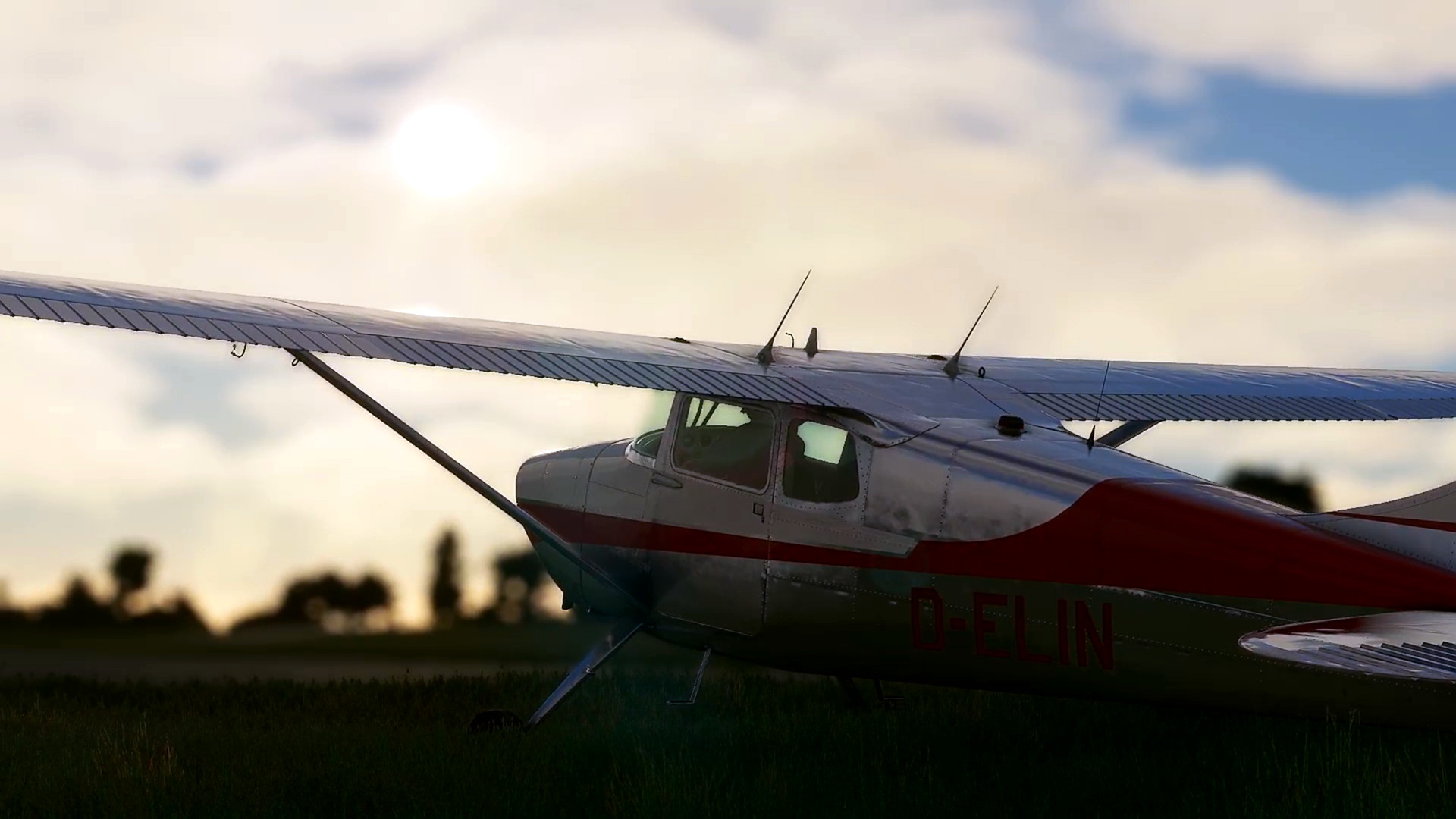 MSFS-105.jpg