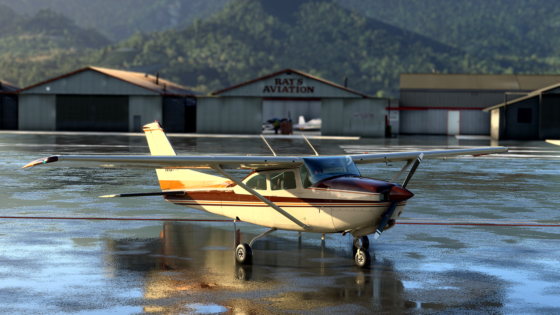 MSFS-1060.jpg