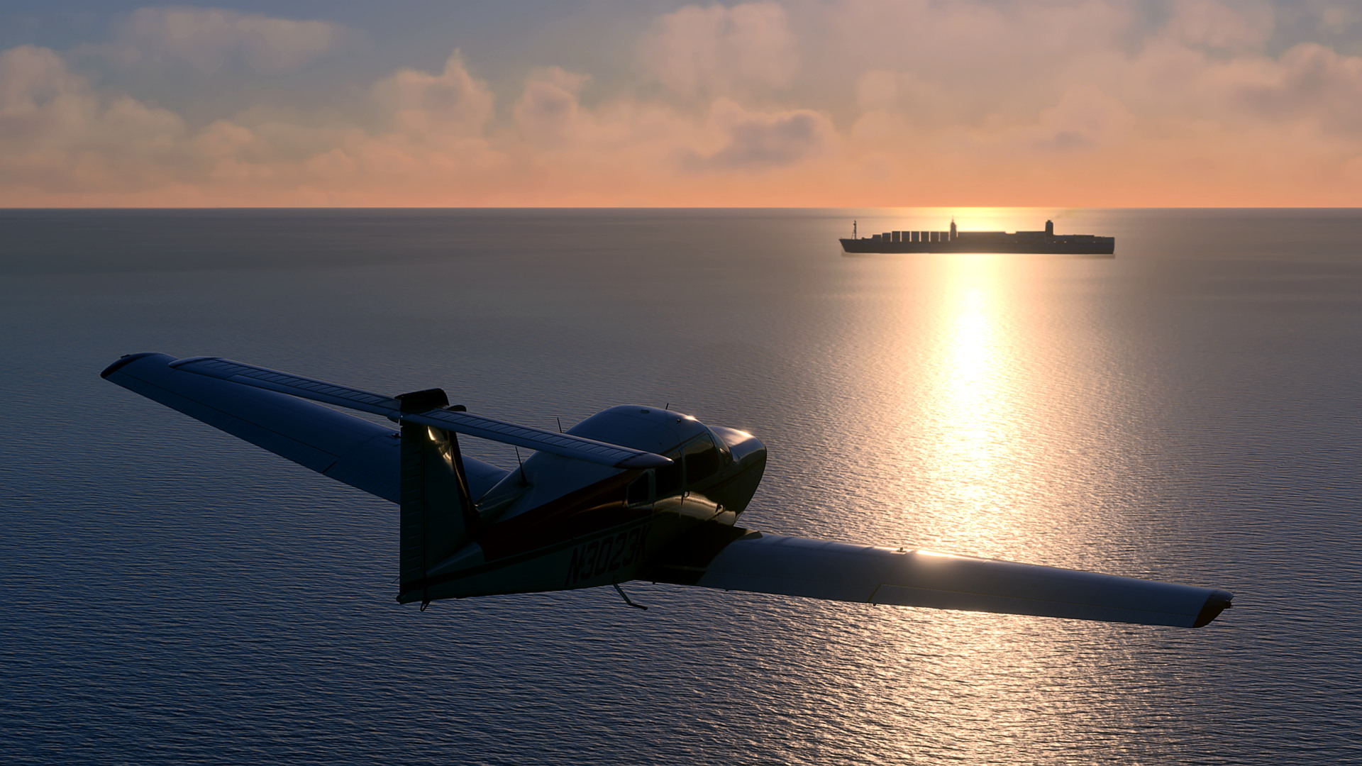 MSFS-1046.jpg