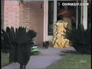 84695690.gif