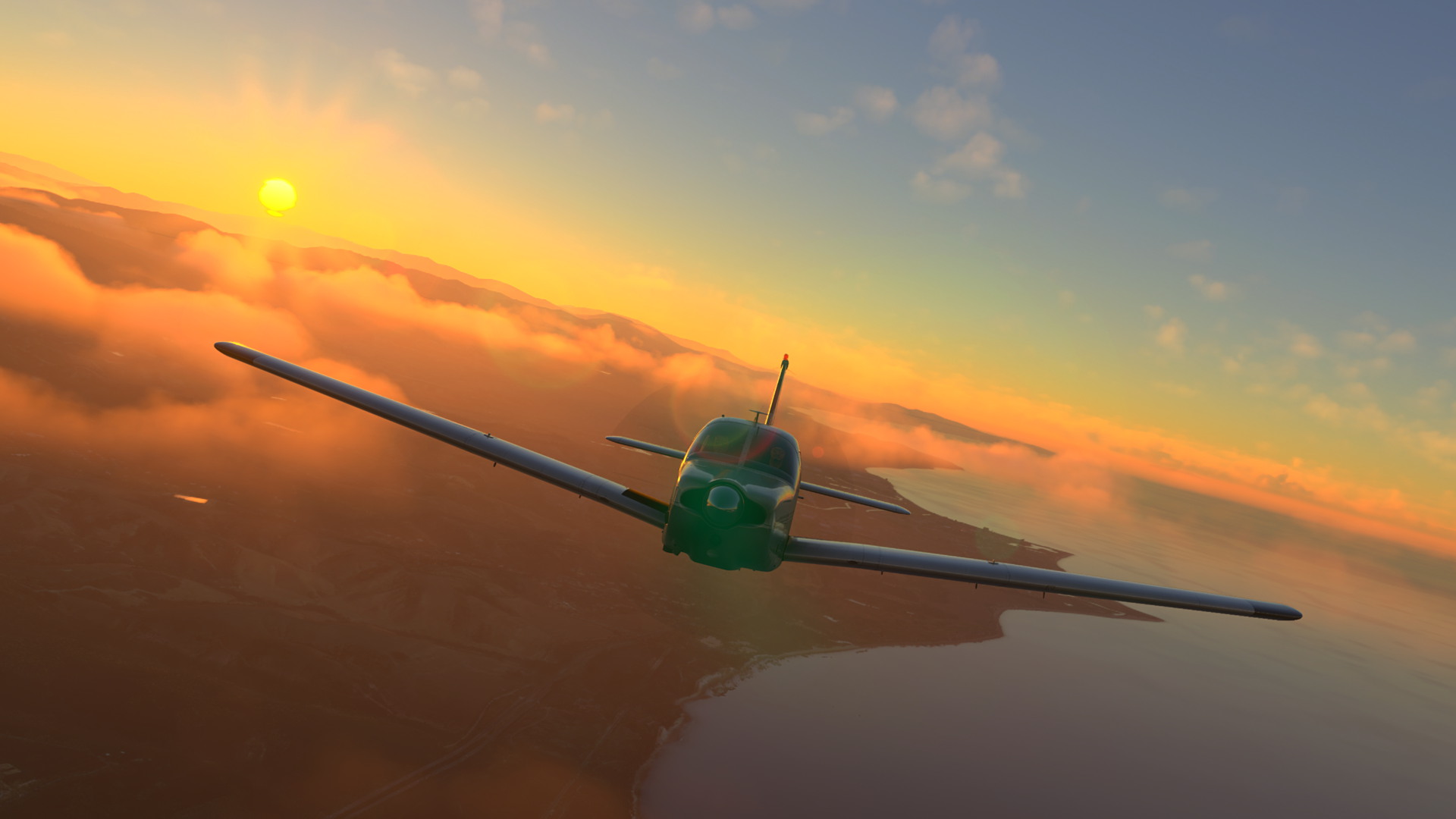 MSFS-1090.jpg
