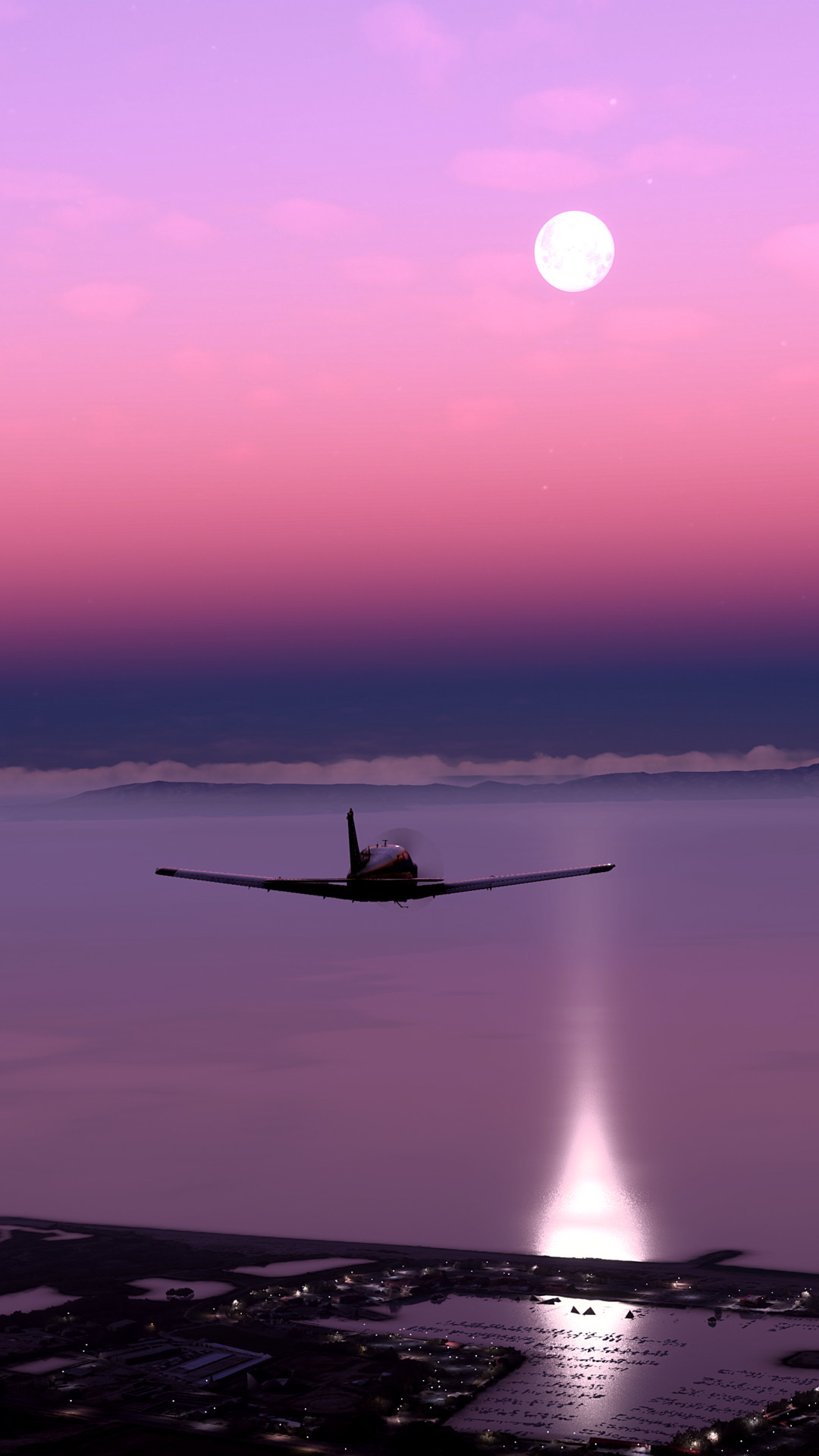 MSFS-1085.jpg