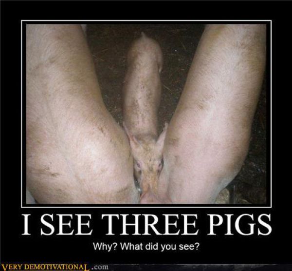 funny_demotivational_posters_640_13.jpg