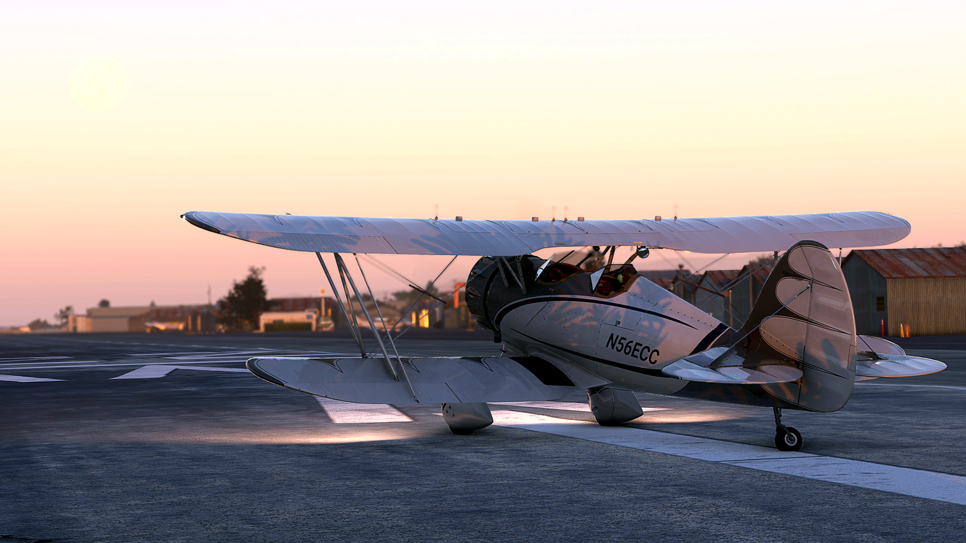 MSFS-1077.jpg
