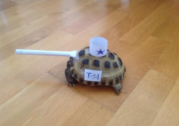 post2.jpg