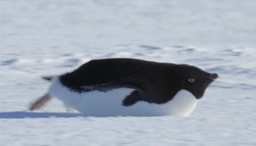 post2.jpg