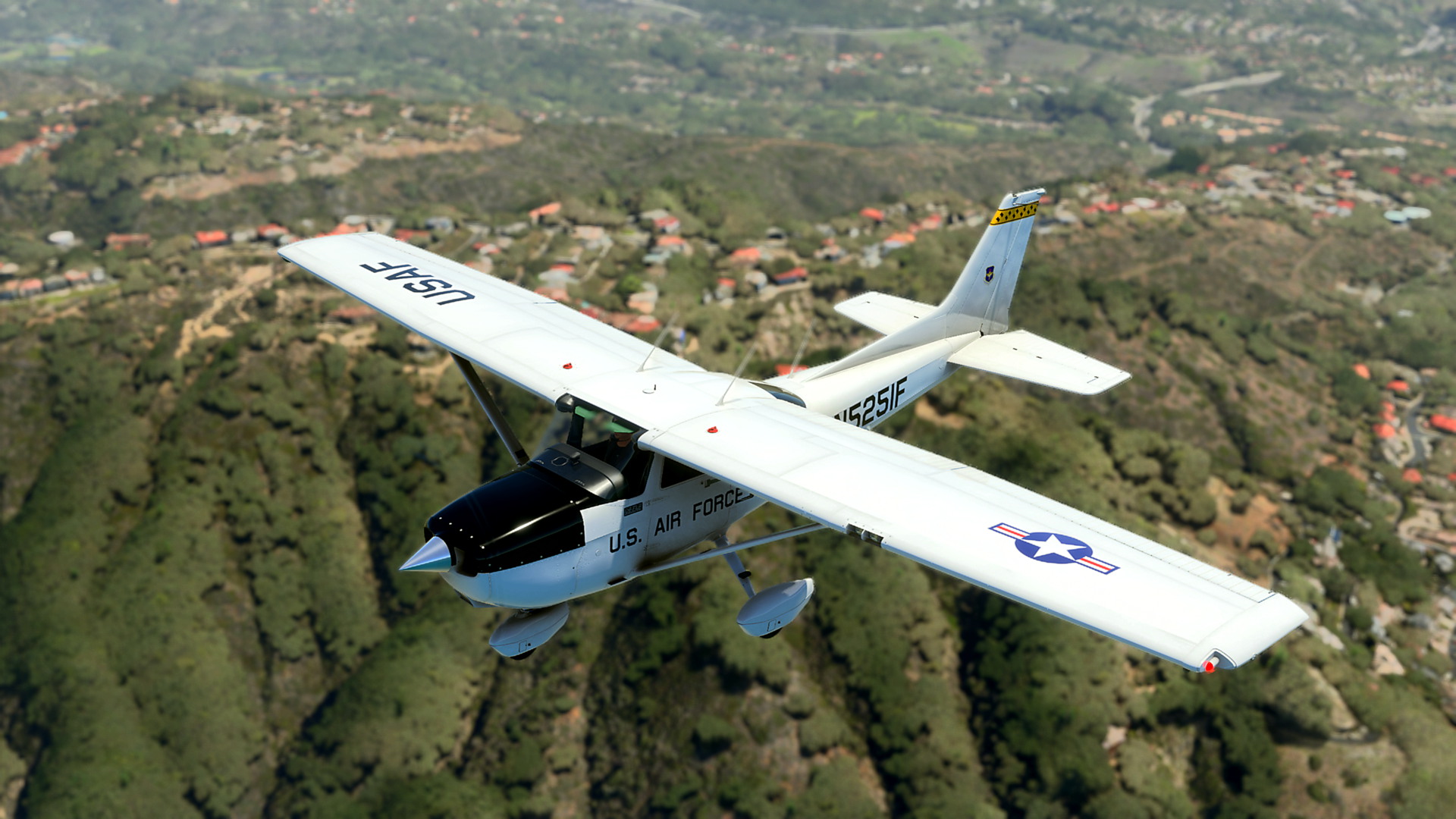 MSFS-1118.jpg