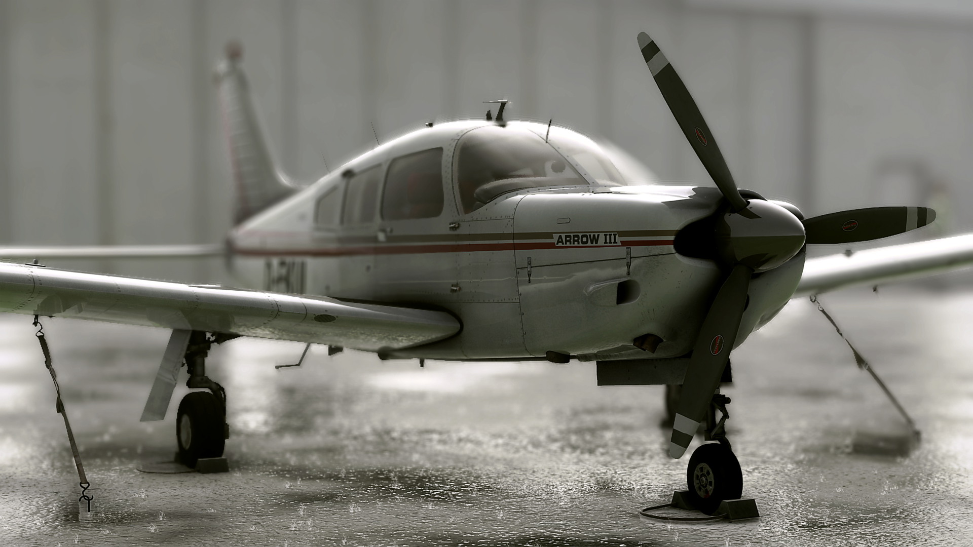 MSFS-1184.jpg