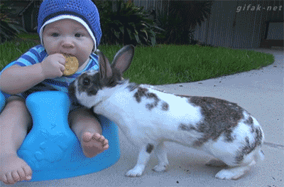 84725435.gif