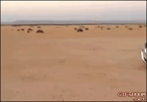 84752642.gif