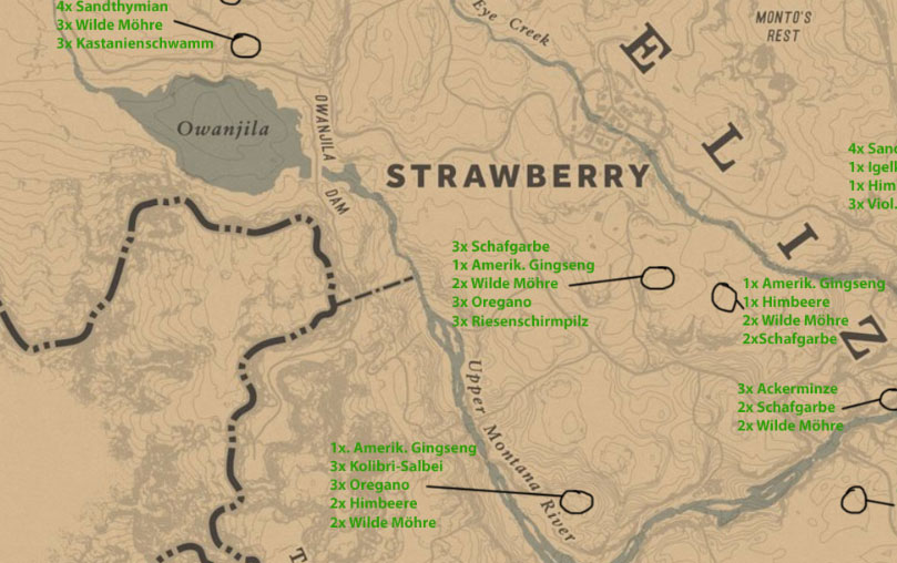 RDO-Map-Teaser.jpg