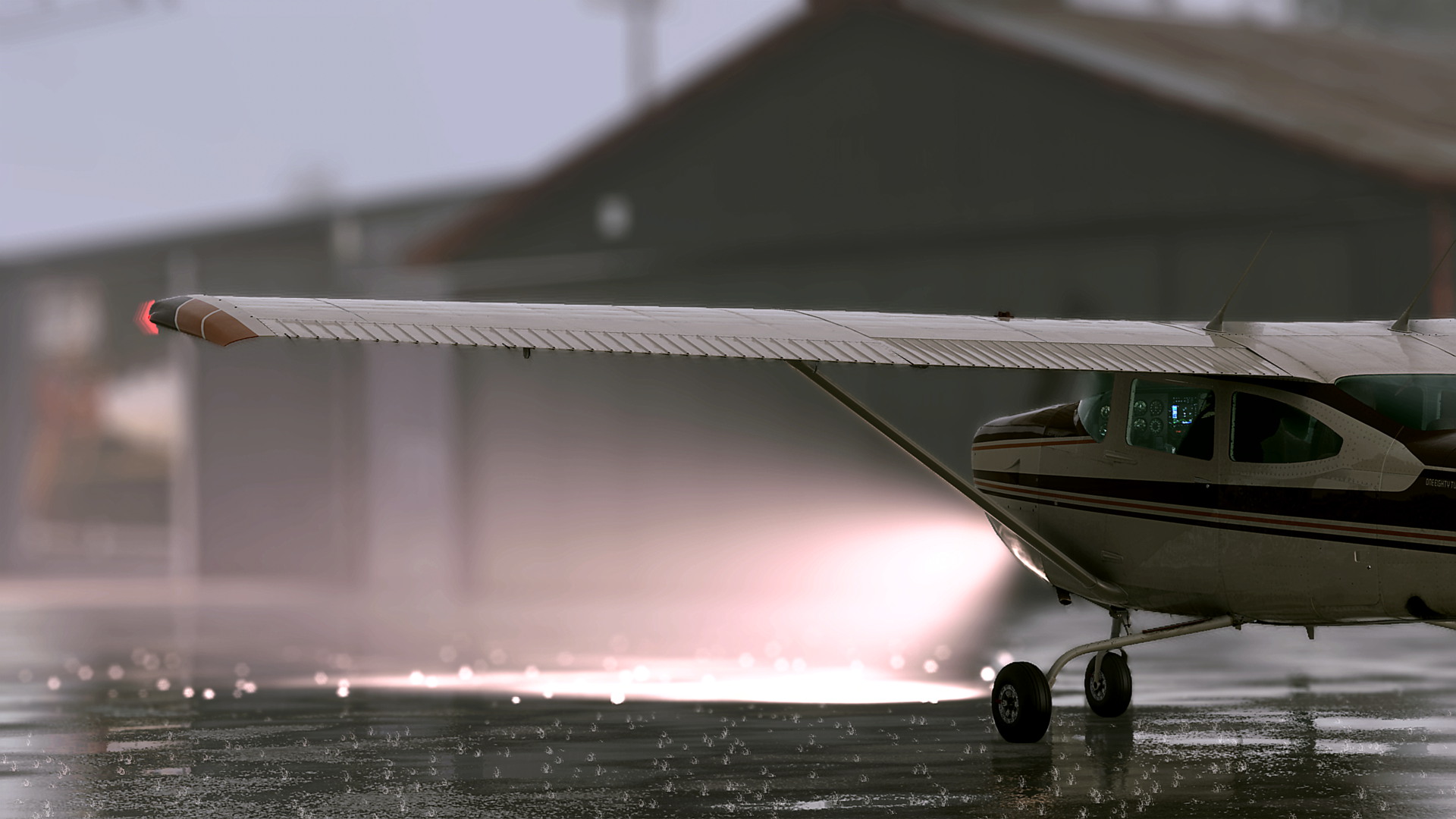 MSFS-1057.jpg