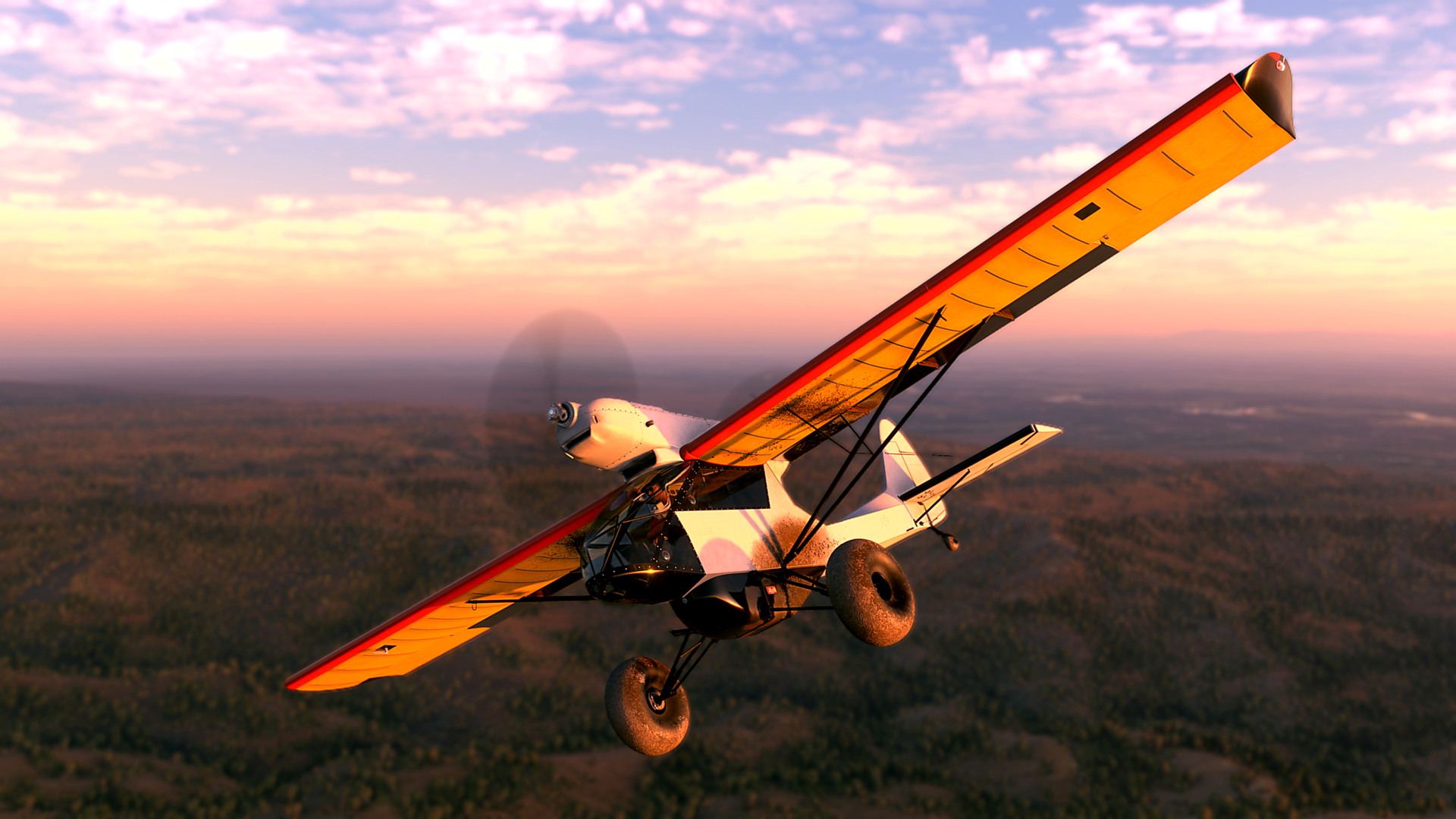 MSFS-984.jpg