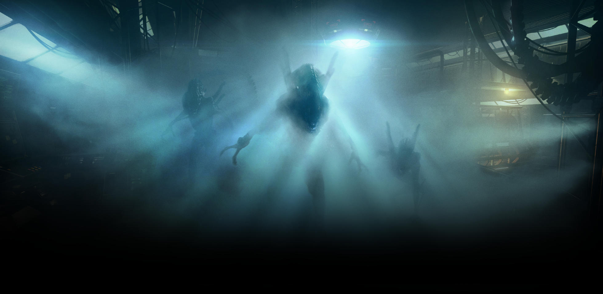 header.jpg
