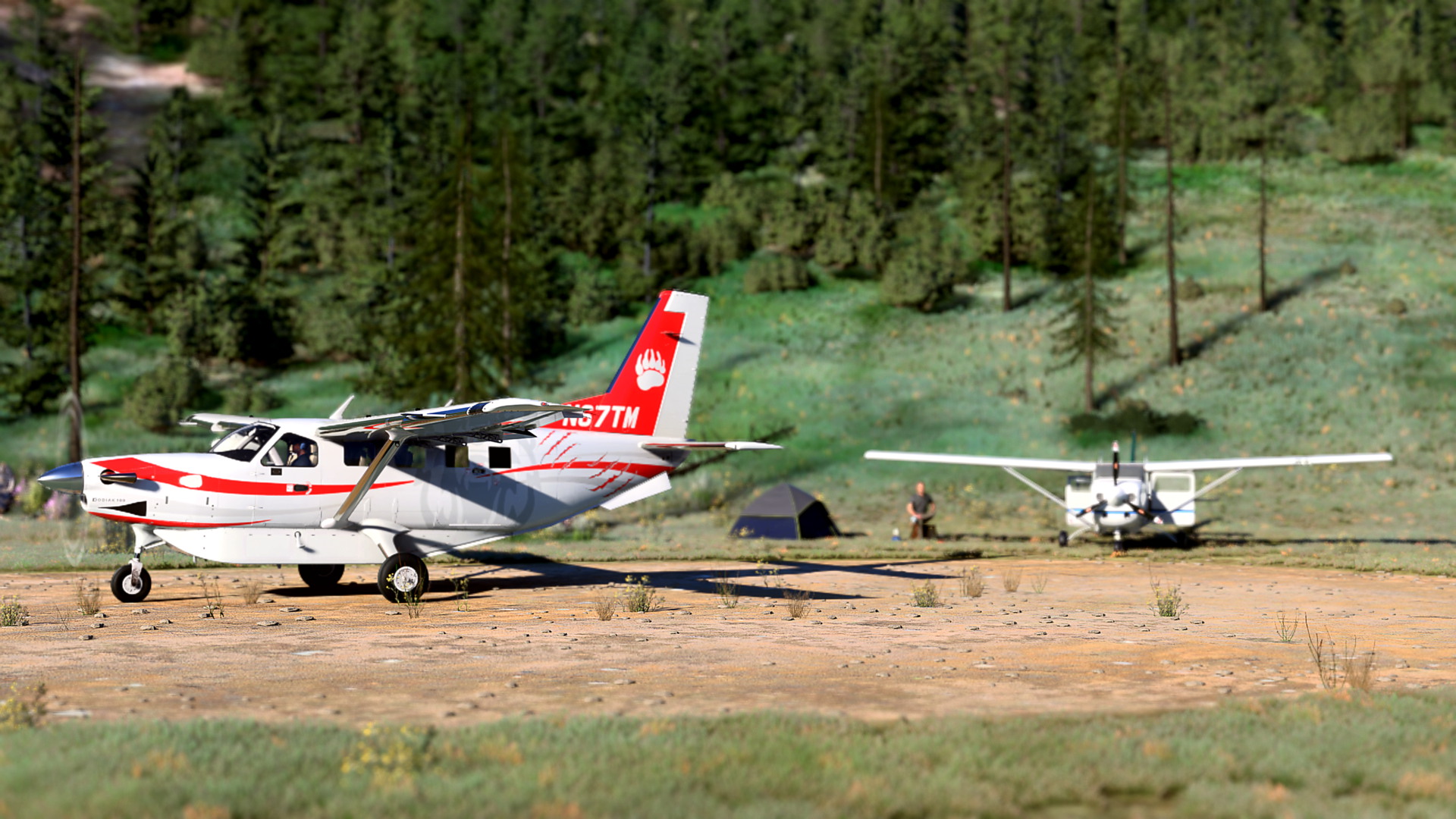 MSFS-1014.jpg
